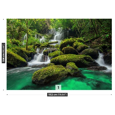 Fototapeta Vodopád v džungli