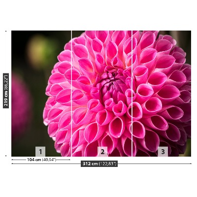 Fototapeta Dahlia pink