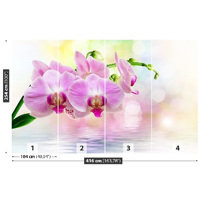 Fototapeta Orchidea ruže
