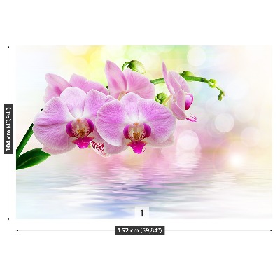 Fototapeta Orchidea ruže