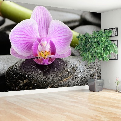 Fototapeta Orchidea kamene