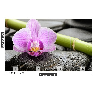 Fototapeta Orchidea kamene