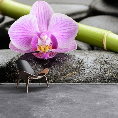 Fototapeta Orchidea kamene