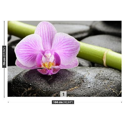 Fototapeta Orchidea kamene