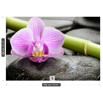 Fototapeta Orchidea kamene