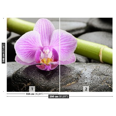 Fototapeta Orchidea kamene