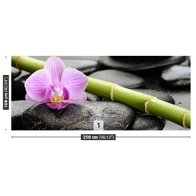 Fototapeta Orchidea kamene