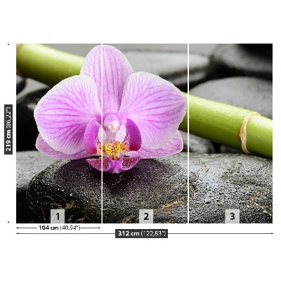 Fototapeta Orchidea kamene