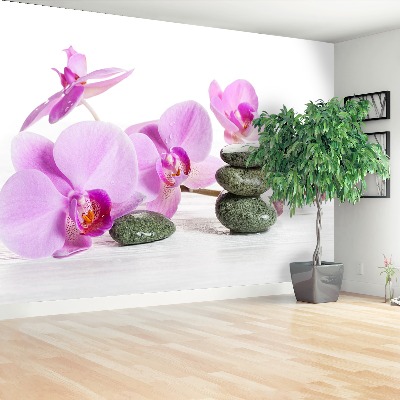 Fototapeta Kúpele orchidea