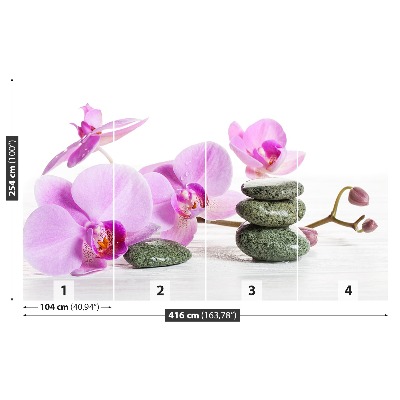 Fototapeta Kúpele orchidea