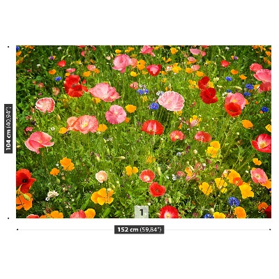 Fototapeta Lúčne kvety