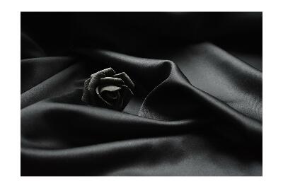 Fototapeta Čierna ruža