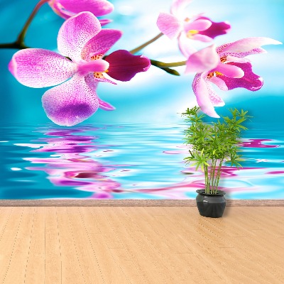 Fototapeta Voda orchidea