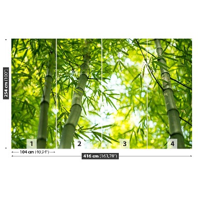 Fototapeta Bambusové vetvy