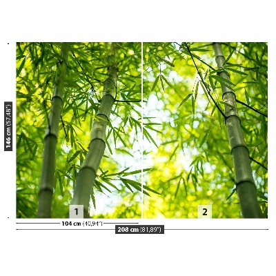 Fototapeta Bambusové vetvy
