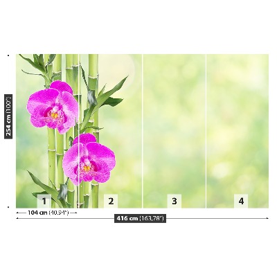 Fototapeta Orchidea a bambus