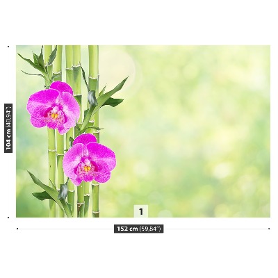 Fototapeta Orchidea a bambus