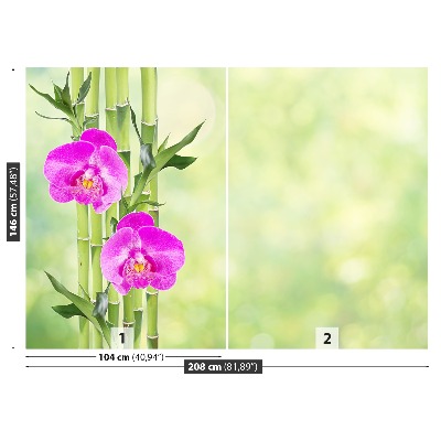 Fototapeta Orchidea a bambus