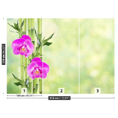 Fototapeta Orchidea a bambus