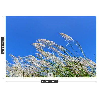 Fototapeta Modrá tráva