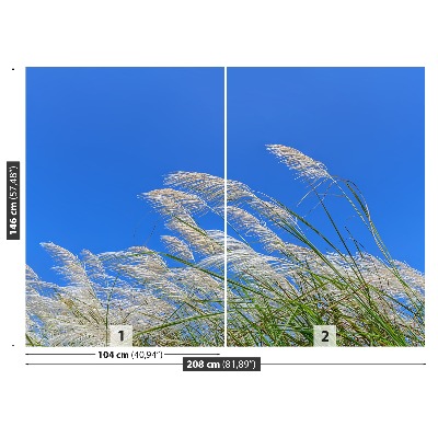 Fototapeta Modrá tráva
