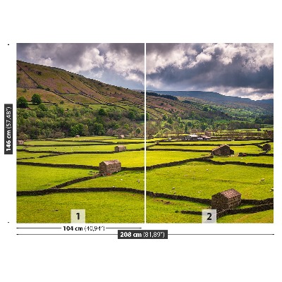 Fototapeta Yorkshire poľa