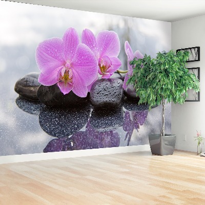 Fototapeta Orchidea kamene