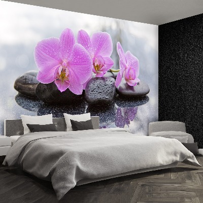 Fototapeta Orchidea kamene