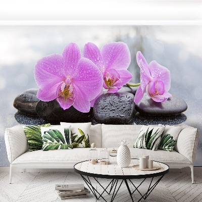 Fototapeta Orchidea kamene