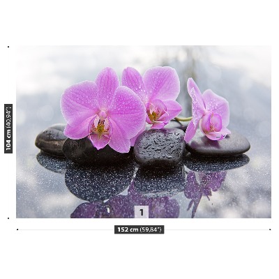 Fototapeta Orchidea kamene