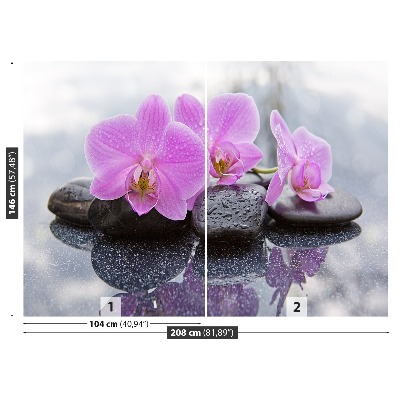 Fototapeta Orchidea kamene