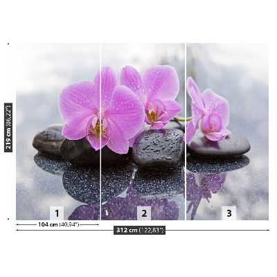 Fototapeta Orchidea kamene