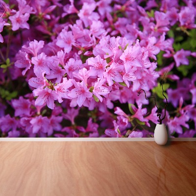 Fototapeta Rhododendron ružový