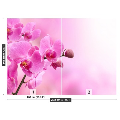 Fototapeta Ružová orchidea