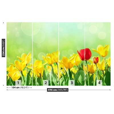 Fototapeta Žlté tulipány