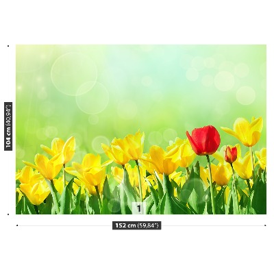 Fototapeta Žlté tulipány