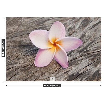 Fototapeta Frangipani wood