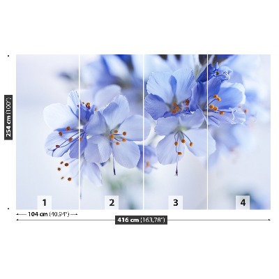 Fototapeta Modré kvety