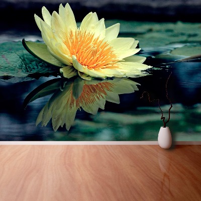 Fototapeta Lotosový kvet