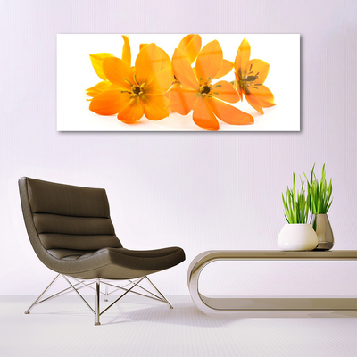 Obraz na akrylátovom skle Oranžové kvety