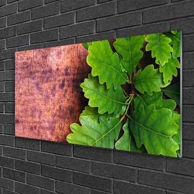 Obraz na akrylátovom skle Listy dub