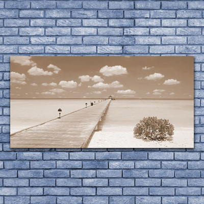 Obraz na akrylátovom skle More most krajina