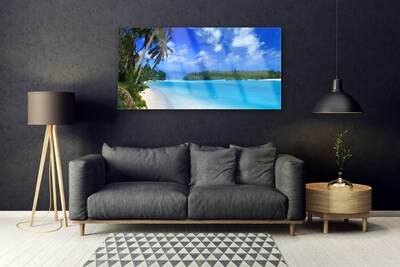 Obraz na akrylátovom skle Pláž palmy more krajina