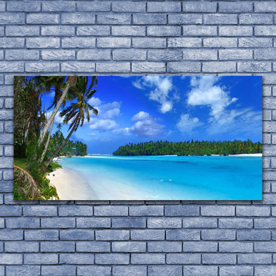 Obraz na akrylátovom skle Pláž palmy more krajina