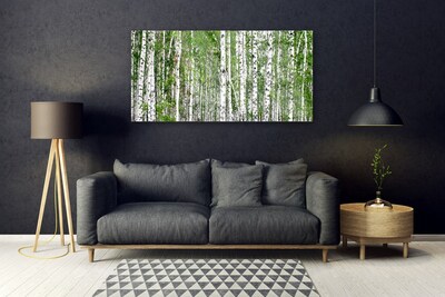 Obraz na akrylátovom skle Breza les stromy príroda