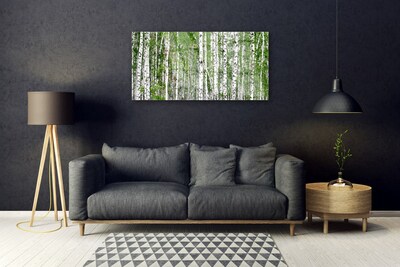 Obraz na akrylátovom skle Breza les stromy príroda
