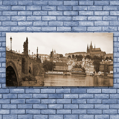 Obraz na akrylátovom skle Praha most krajina