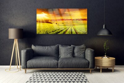 Obraz na akrylátovom skle Pole západ slnka krajina