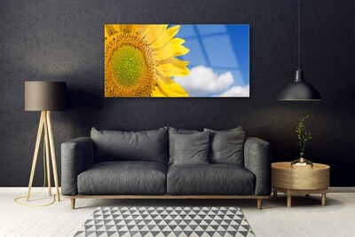 Obraz na akrylátovom skle Slnečnica mraky
