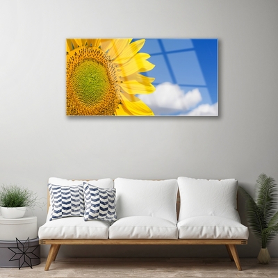 Obraz na akrylátovom skle Slnečnica mraky